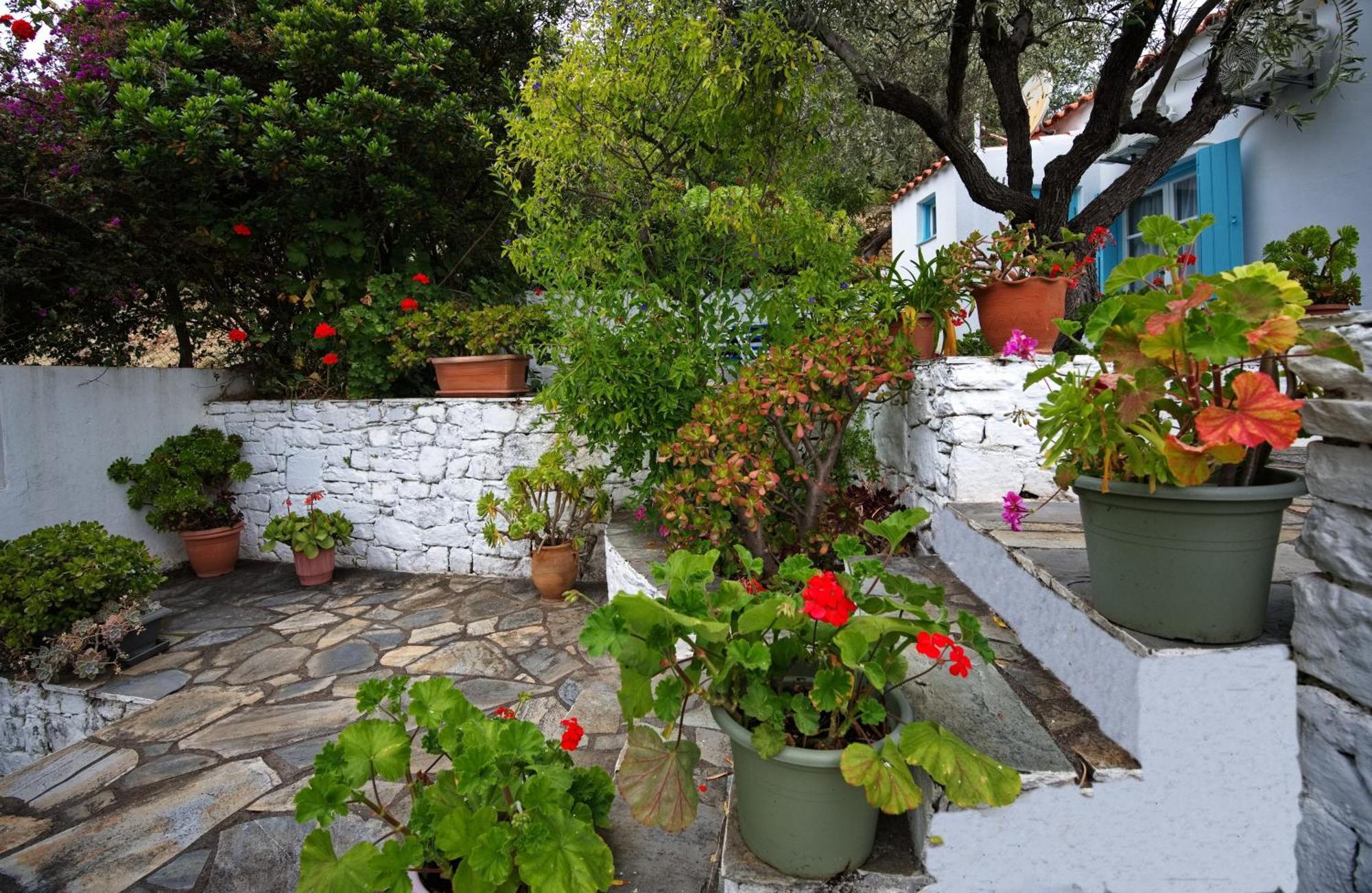 Limani Cottage Steni Vala Alonissos Exterior foto